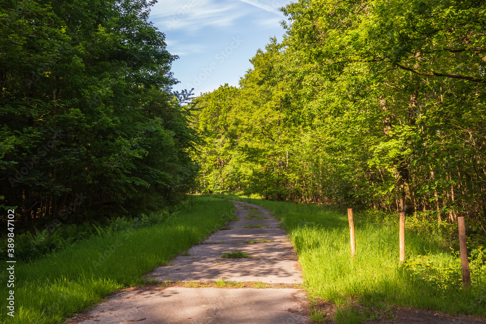 Fototapeta premium Images in and around the Second World War Prisoner of War Camp at Zedlegem in Belgium