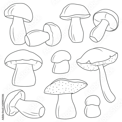 Mushrooms vector black and white set