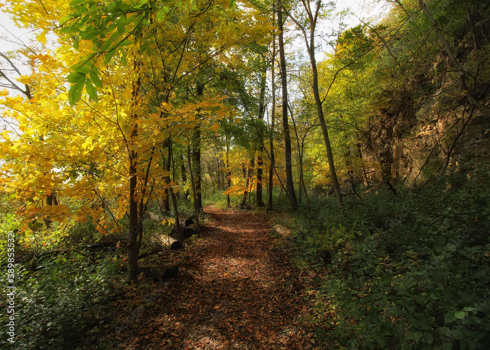 Hiking Trail in Minnesota During The Autumn Season