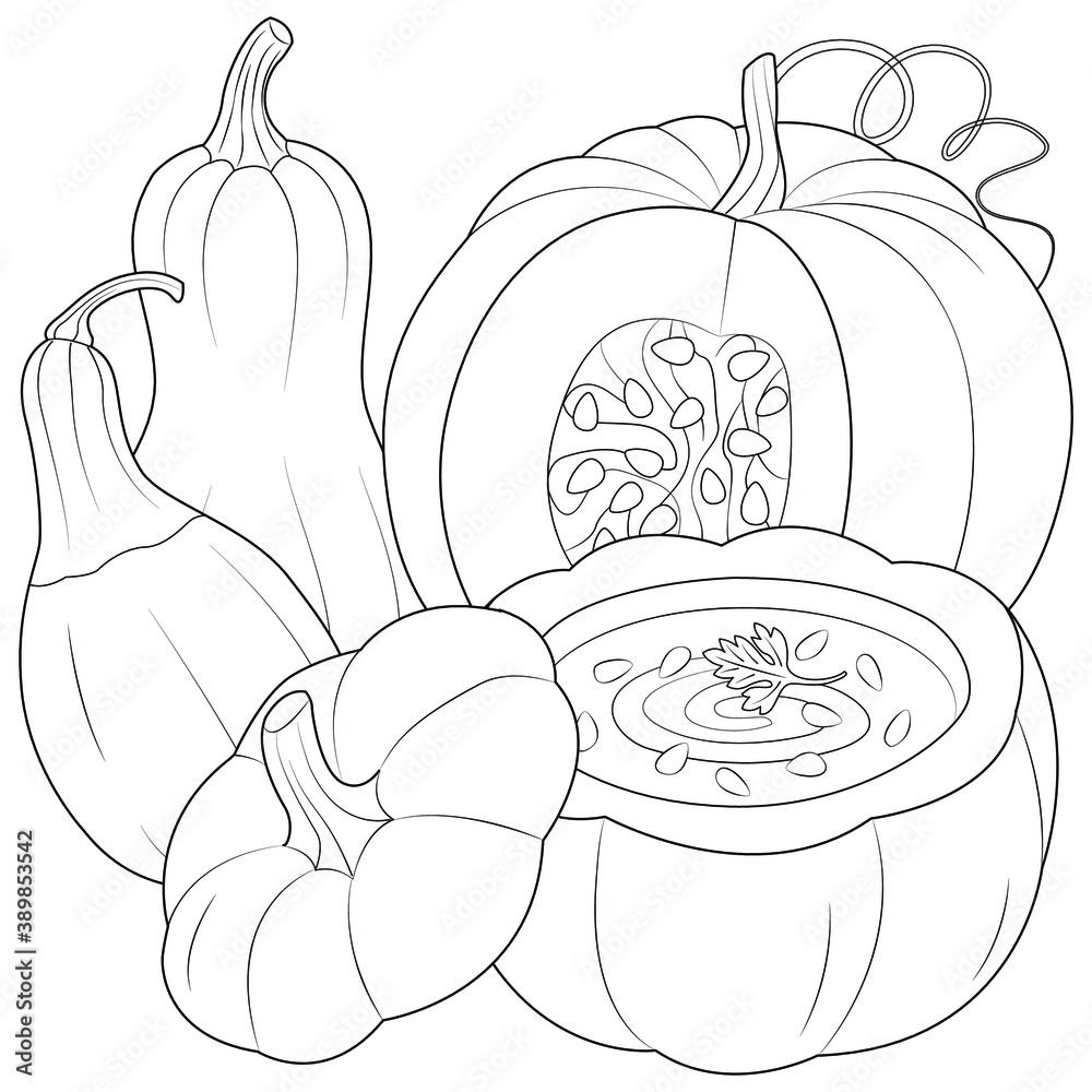 Pumpkin soup and pumpkins vector Pumpkin soup and pumpkins vector