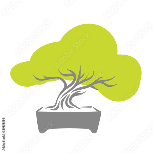 Japanese old bonsai tree in pot logo photo