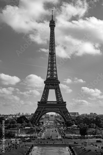 Eiffel Tower © msasajim