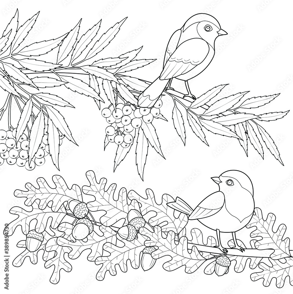 Naklejka premium Two birds on the branches black and white vector illustration