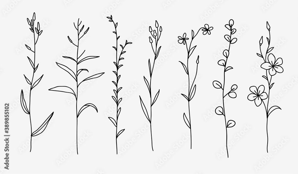 Naklejka premium One line drawing. Set of herbs and wild flowers. Hand drawn sketch. Vector illustration.
