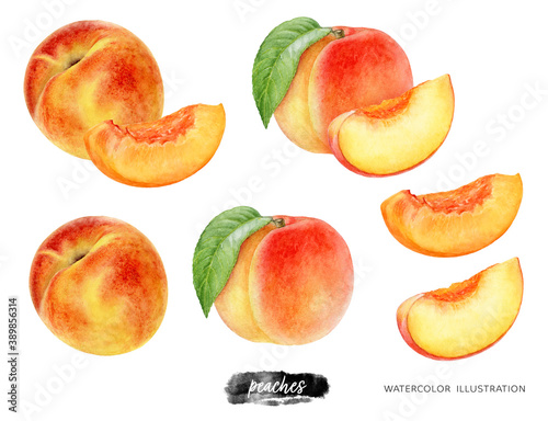 Peach fruit set whole and slice watercolor illustration isolated on white background