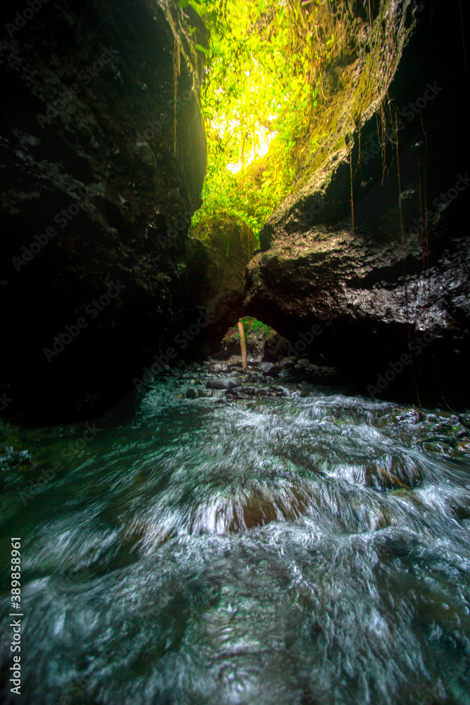 water flowing into the forest