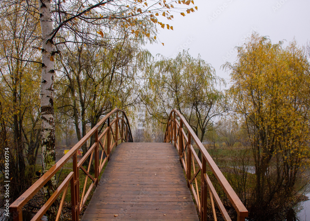 wooden bridge in autumn forest wooden bridge in autumn forest