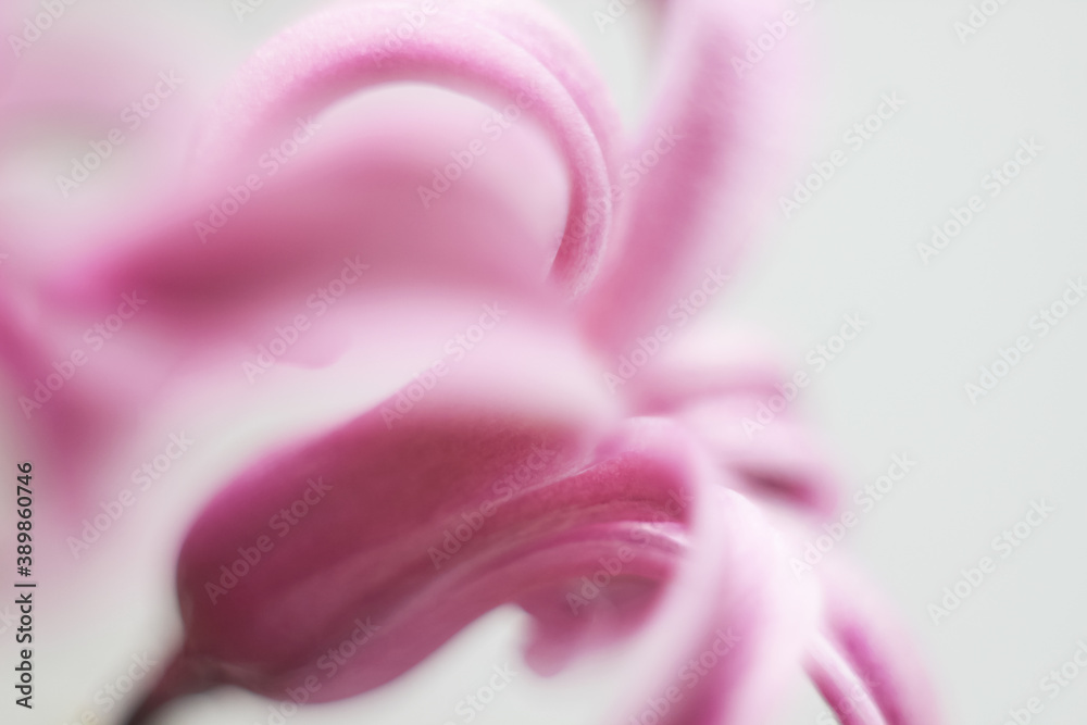 Blurred flower background