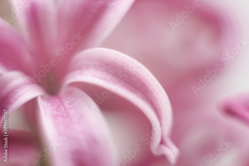 Blurred flower background