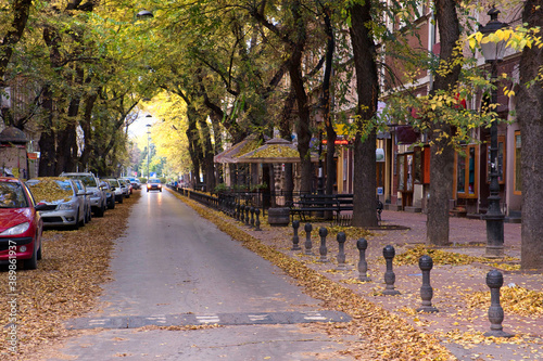 Beautiful autumn street with fall leaves in the historic center of Subotica city  Serbia