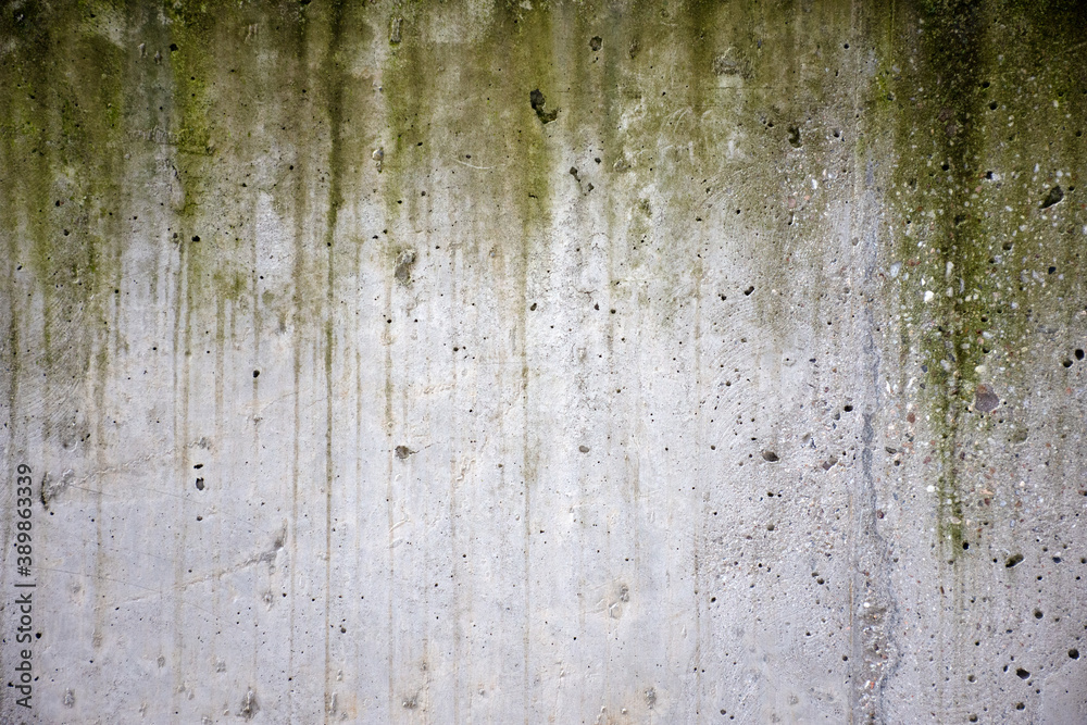 Obraz premium High quality street wall with a moss texture. (300dpi, 6000x4000)