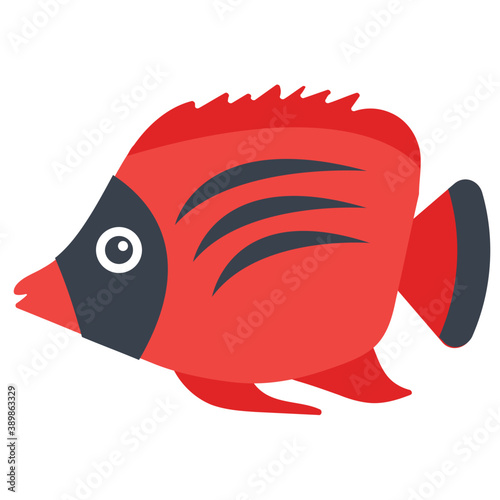 
A freshwater fish with broad fins from the family of cichlidae symbolizing dwarf angelfish 
