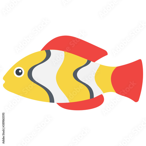 
A freshwater fish with broad fins from the family of cichlidae symbolizing dwarf angelfish 
