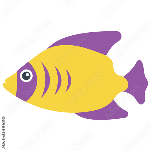 
Freshwater tropical aquarium fish, anthias fish
