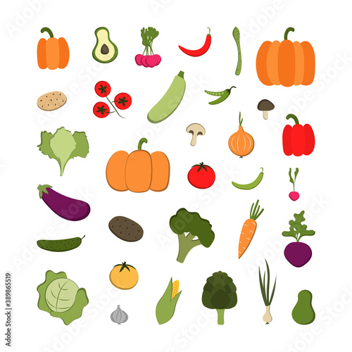 Vector set of vegetables - corn, pumpkin, potato and others. Organic vegetables in cartoon flat style. Vegetarian concept.