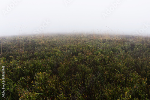 Mystic foggy morning. Bieszczady National Park in Poland landscape. Autumn mountain trekking. Rural scenery background. Hiking trail on the hill. Bad weather conditions.