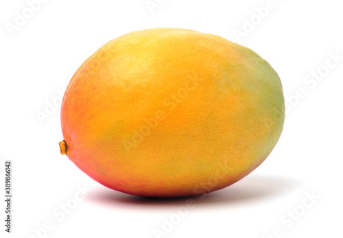 mangos on a white background