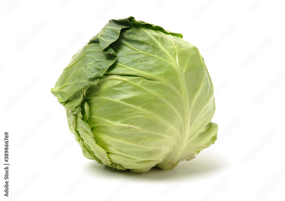 cabbage isolated on white background cabbage isolated on white background