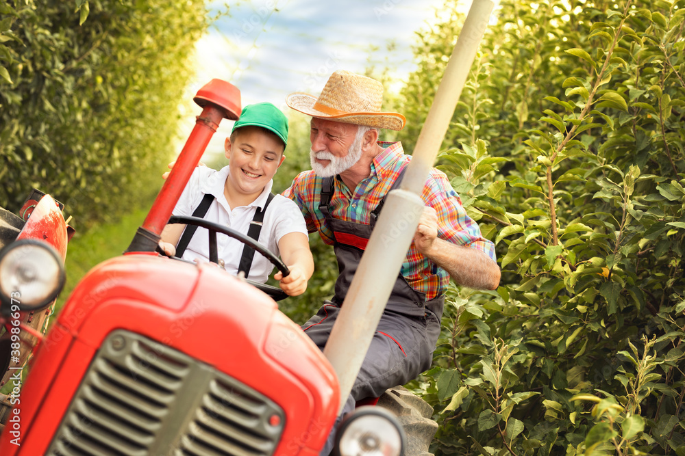 Grandfather explaining to boy how to drive a tractor