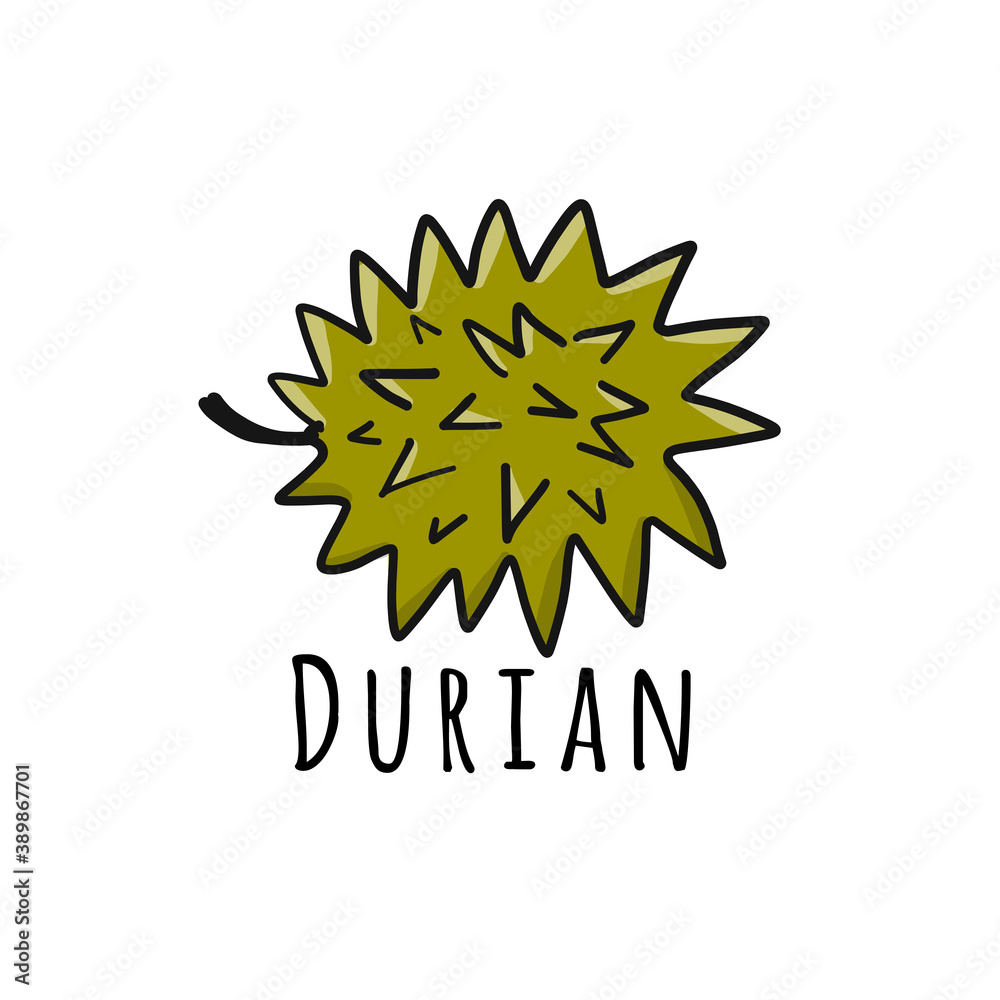 Obraz premium Durian, sketch for your design