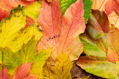 Change Chance Stempel auf bunten Bl  ttern im Herbst 