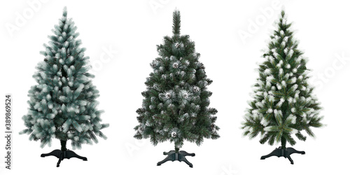 Traditional christmas trees with snowy branches on stand without seasonal decoration isolated