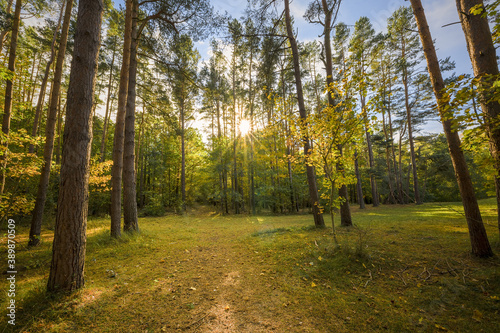 herbstlicher Stadtwald im Ostseebad Kühlungsborn