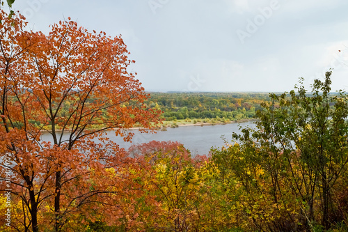 Autumn landscape with top view on the river through branches of trees with yellow leaves in autumn day