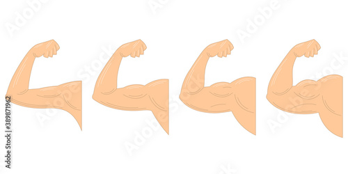 Muscle growth after exercising. Strong arm with contracted biceps. 