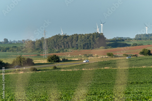 Soy fields with a road with cars and a windmill farm on the horizon. Some plants woth pink flowes can be seen on the foreground photo