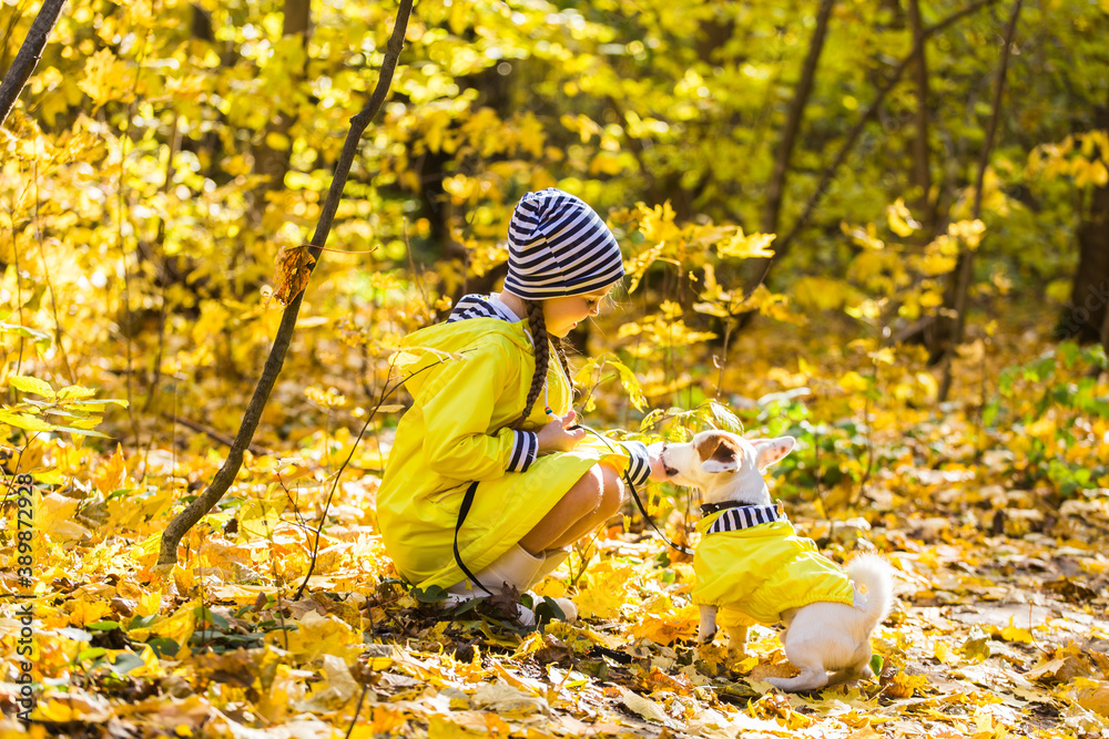 Child playing in autumn park with a jack russell terrier. Kid and jack russell terrier dog.