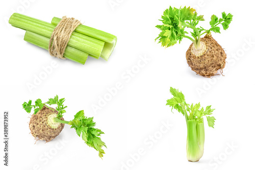 Set of celery on a background photo