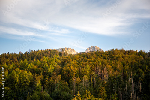 Giewont Mountain (Sleeping Knight) with coniferous forest in Tatra Mountains in Poland, in golden hour colors.