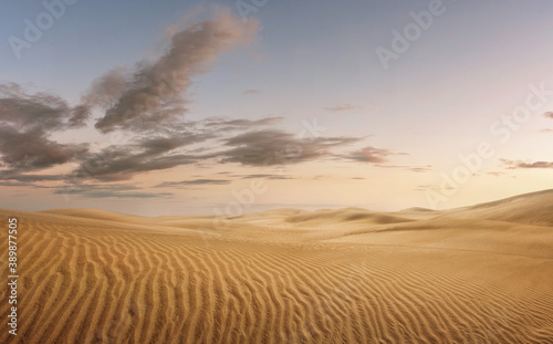 Empty panoramic desert at the sunset, nature background with copy space
