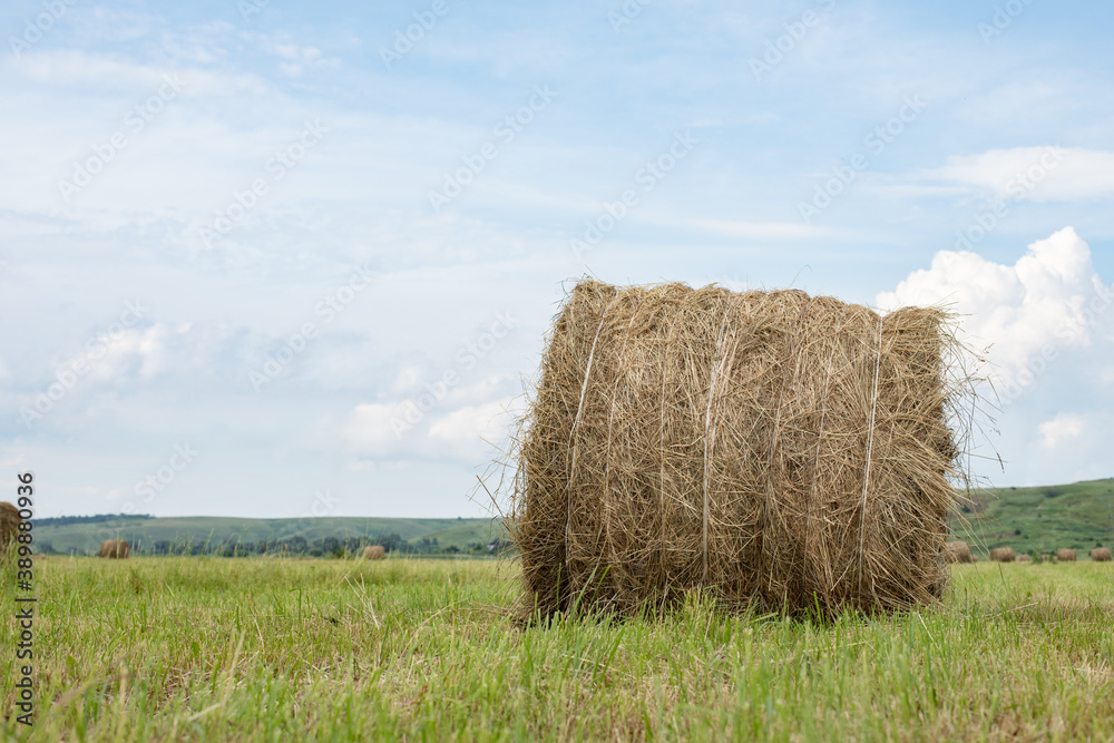 Twisted bale of hay on the background of a blue sky, idyllic rural landscape, summer harvest on the farm Twisted bale of hay on the background of a blue sky, idyllic rural landscape, summer harvest on the farm