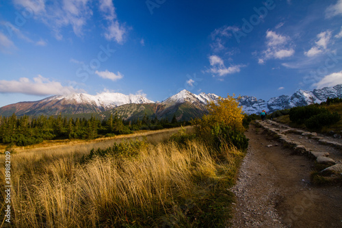 path in the mountains