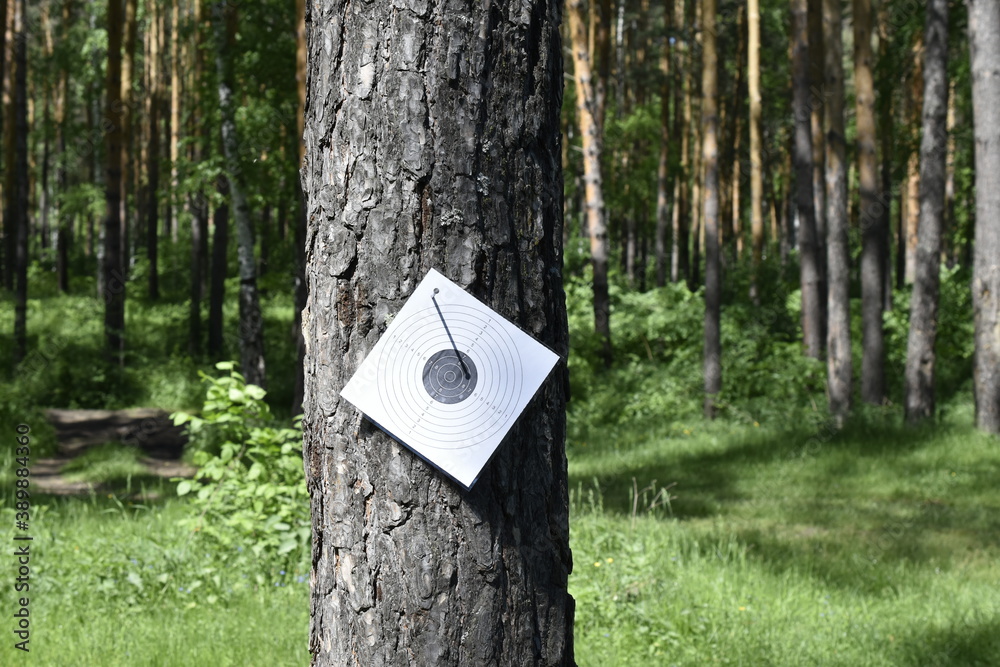 A black and white pistol target is nailed to a pine tree.