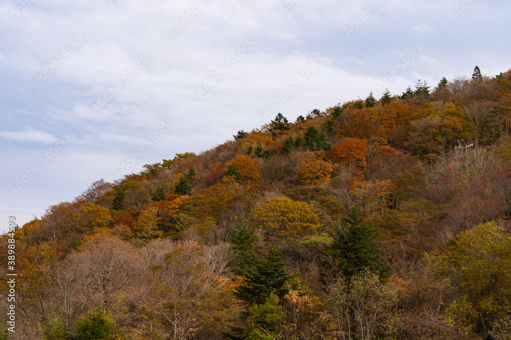 茶臼山の紅葉と空