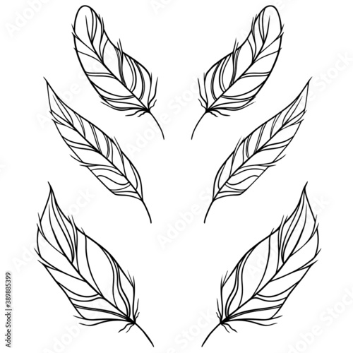 Colorful hand drawing feather decor in retro style. Cover template. Wedding invitation design. Elegant decoration. Vector template. Fashion print. Design template celebration.