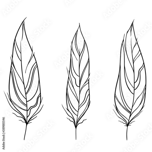 Colorful hand drawing feather decor in retro style. Cover template. Wedding invitation design. Elegant decoration. Vector template. Fashion print. Design template celebration.
