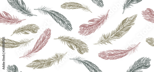 Feathers set on white background. Hand drawn sketch style.