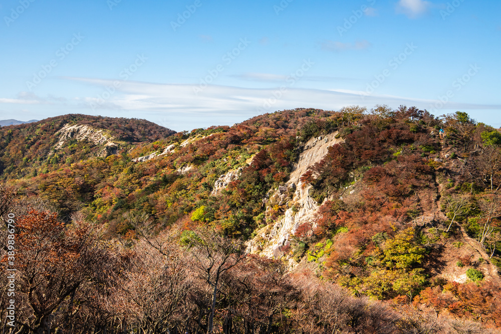 紅葉に色づく鈴鹿山脈、釈迦ヶ岳から竜ヶ岳の尾根道を歩いて
