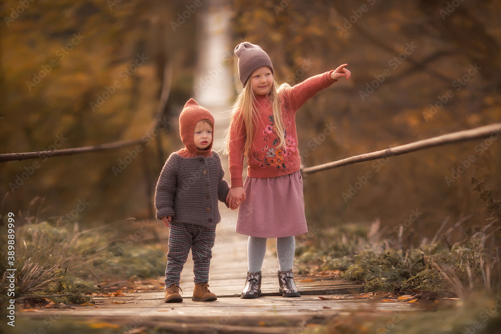 Fototapeta premium little girl and little boy brother and sister on the river bridge in autumn