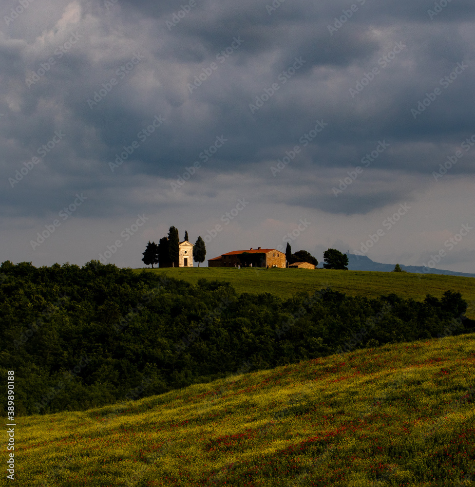 Landscape. Tuscany, Italy