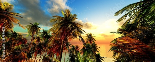 Beach with palm trees at sunset, tropical coast with palm trees under the setting sun