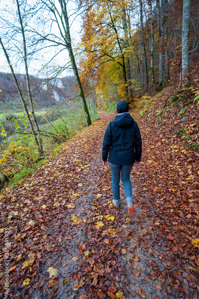 Herbst im Oberen Donautal