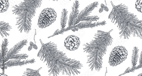 Seamless pattern with pine cones and branches. Hand drawn sketch vector illustration.
