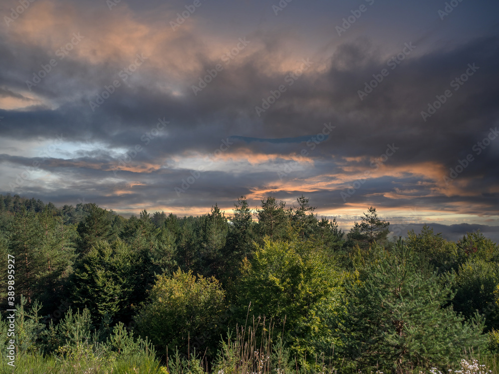 dramatic sky in the mountains over the green forest