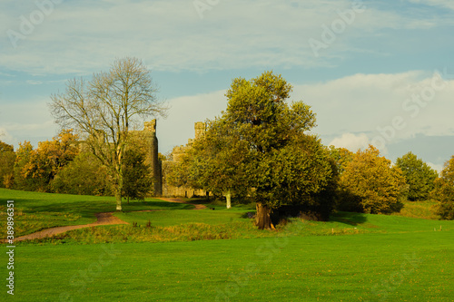 Autumn landscape with trees in the park.