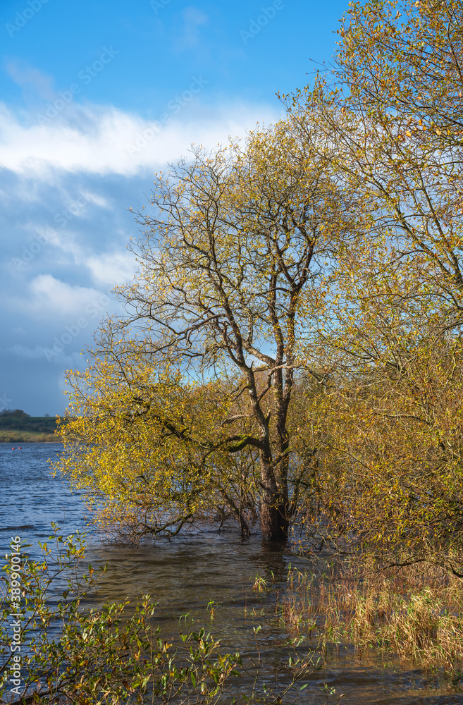  Killykeen Forest Park and Lake Oughter